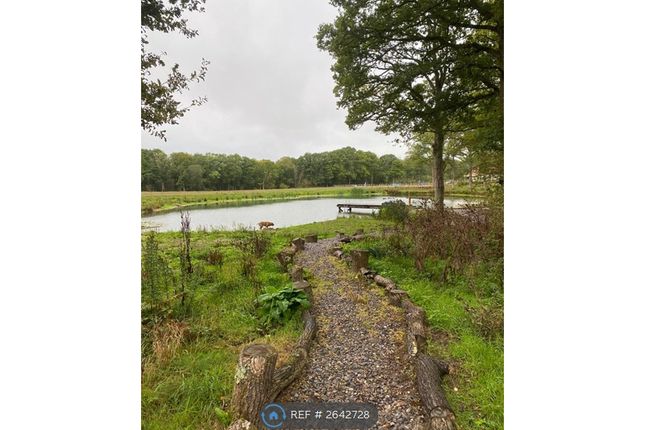 Estate Lake