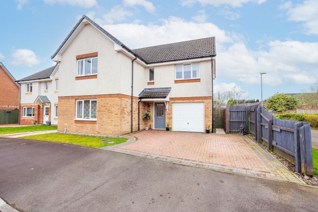 Thumbnail Detached house for sale in Keswick Place, Dumfries
