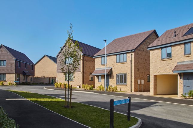 91, 45 Mountbatten Way, Bishop's Stortford photo 4