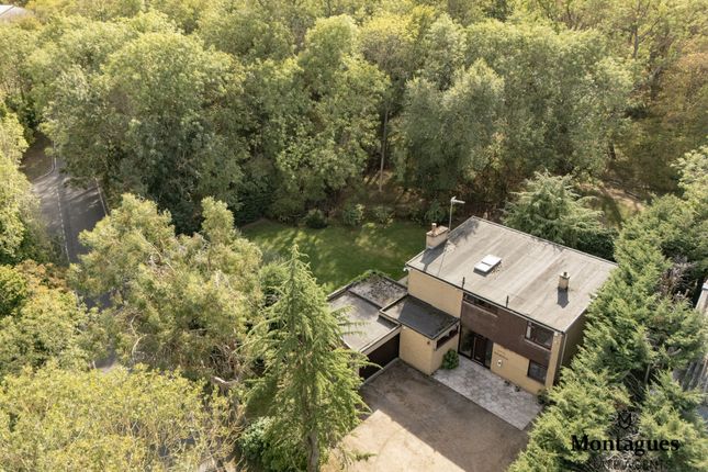 Beecroft House, Woodside, Thornwood photo 2