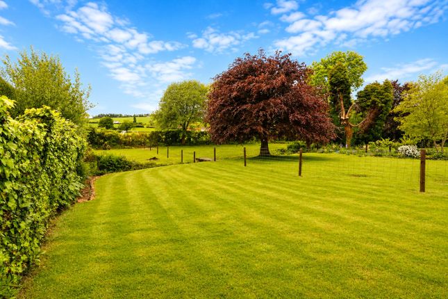Meadow Cottage 4B Town Mill, Wiveliscombe Taunton Somerset photo 2