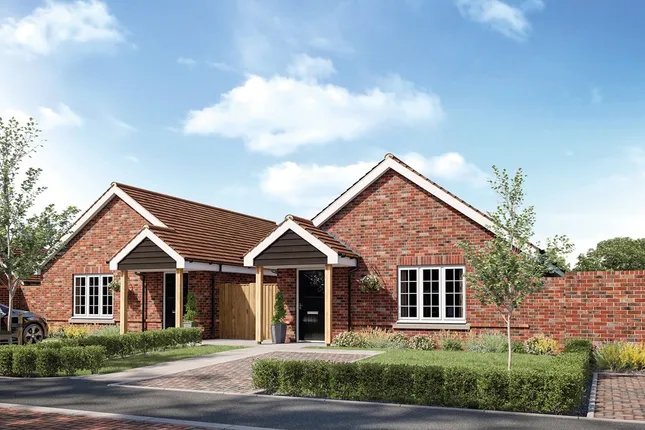 Taylor Wimpey - Ada Gardens
