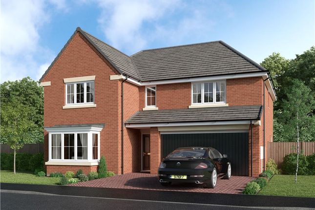 Thumbnail Detached house for sale in "The Thetford" at Welwyn Road, Ingleby Barwick, Stockton-On-Tees
