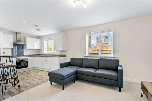 1 Molbrook Road, South Molton photo 3
