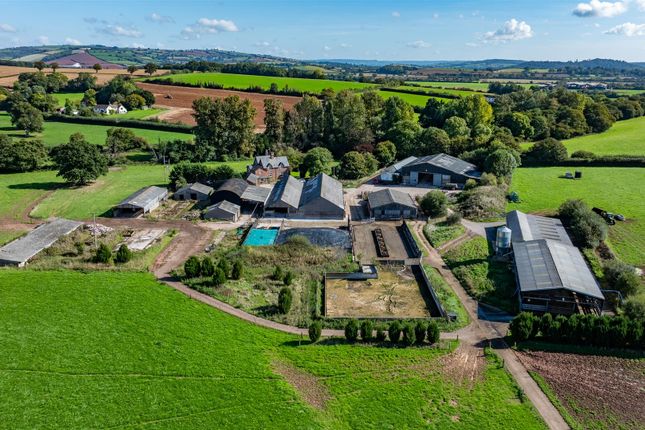 6 Bedroom Detached in EX5 5JL