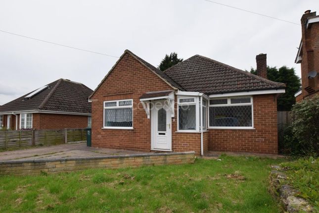 Detached bungalow to rent in Chestnut Grove, Etwall, Derby, Derbyshire