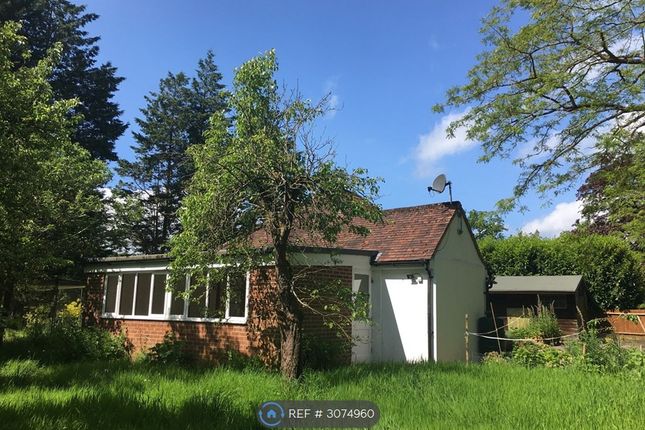 Garden Cottage, Eversley, Hook photo 3