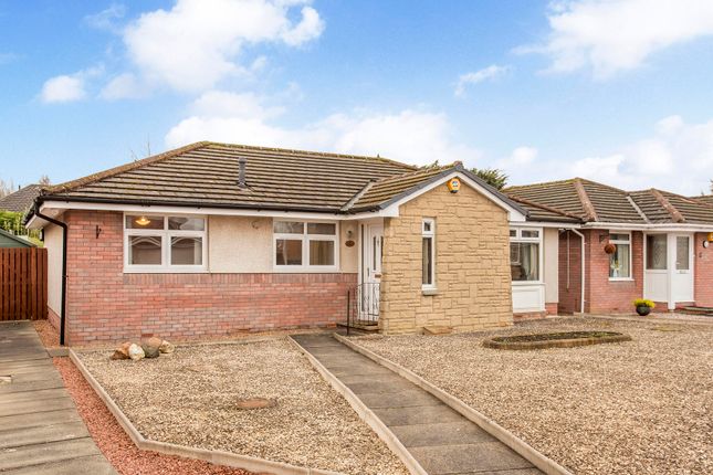 Thumbnail Bungalow for sale in Anderson Drive, Falkirk
