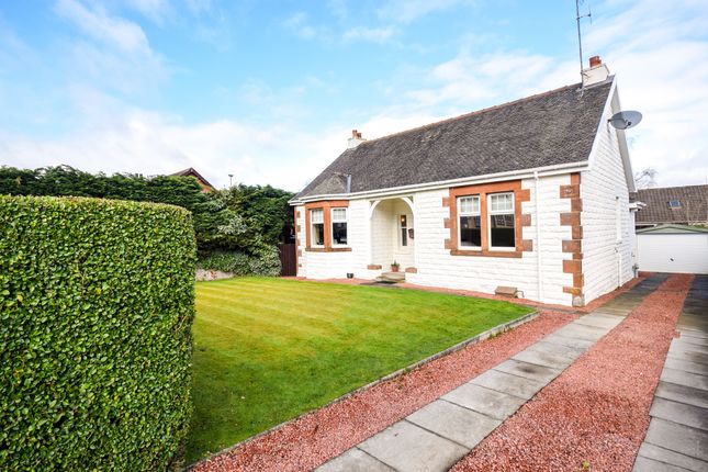 Thumbnail Bungalow for sale in Hamilton Road, Motherwell