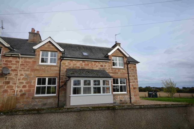 Thumbnail Semi-detached house to rent in Shandwick Cottage, Arabella, Tain