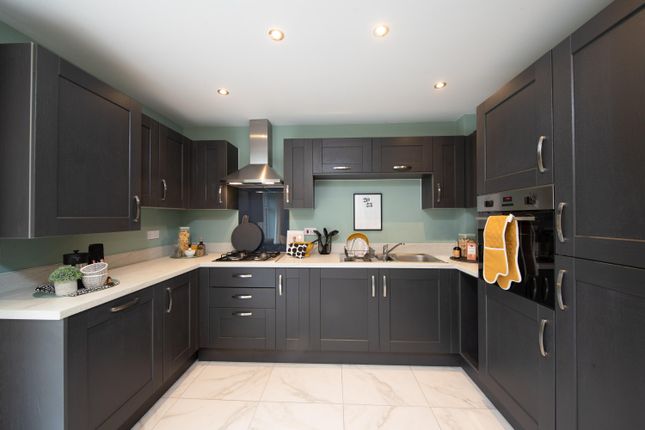 Showhome Photography
