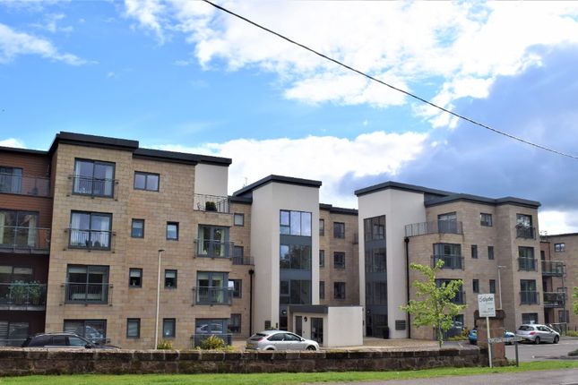 Thumbnail Flat to rent in Silvertrees Gardens, Bothwell, South Lanarkshire