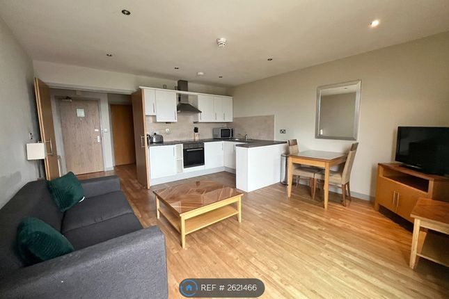 Living / Kitchen Area
