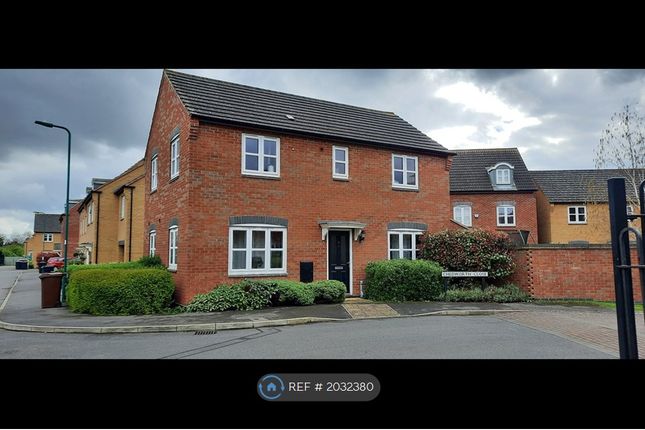 Thumbnail Detached house to rent in Chedworth Close, Peterborough