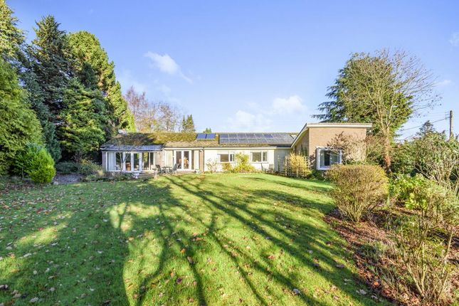Thumbnail Detached bungalow for sale in Much Birch, Herefordshire