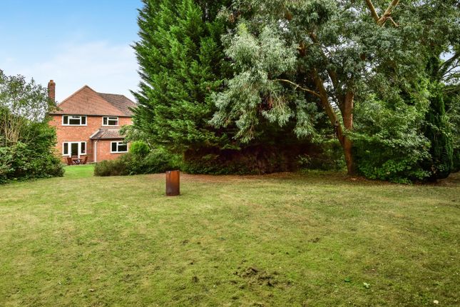Detached house to rent in Ashenden Road, Guildford, Surrey