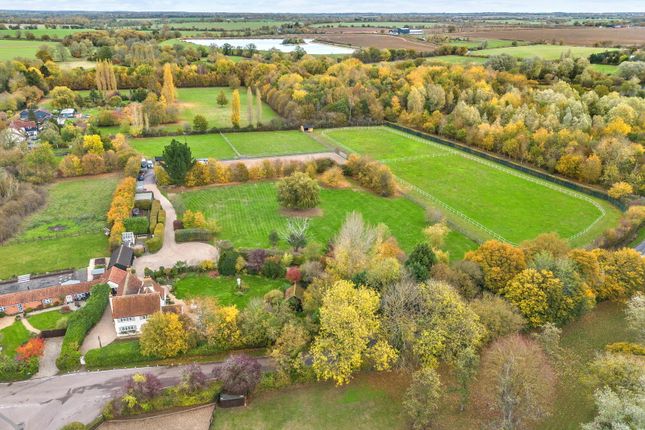 Two Swans Farm, Ongar photo 4