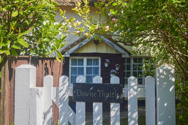 Downe Thatch, Exeter photo 2
