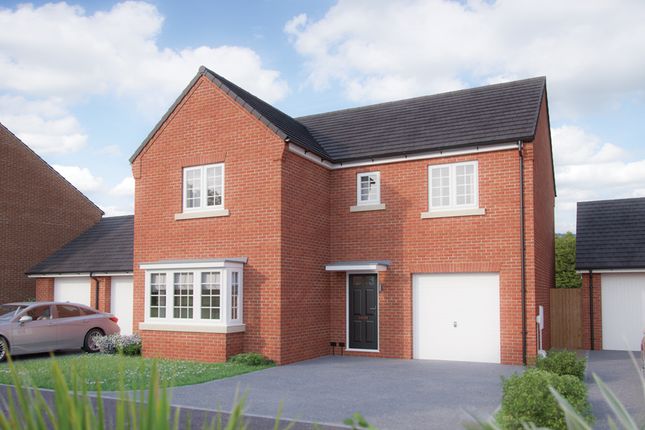 Grainger CGI