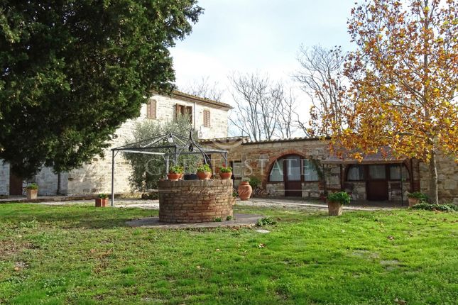 Thumbnail Villa for sale in San Giovanni D'asso, Siena, Tuscany