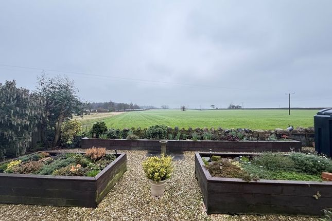 14, Horsley Place, Alnwick photo 3