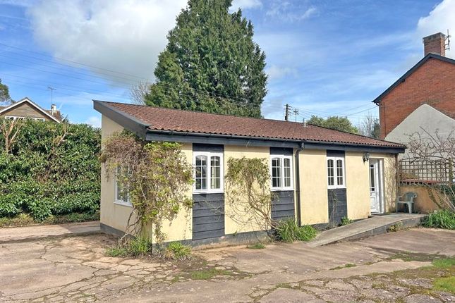 Thumbnail Bungalow to rent in Southerton, Ottery St. Mary