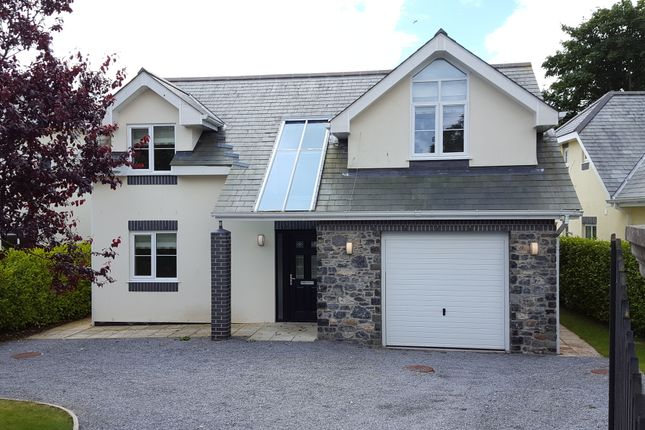 Thumbnail Detached house to rent in Higher Warborough Road, Galmpton, Nr. Brixham