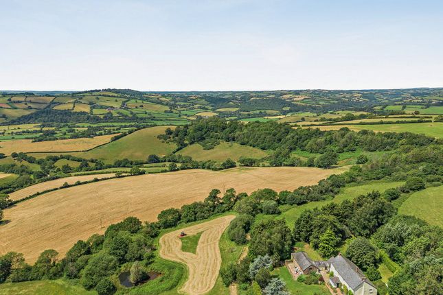 Land Farm,, Silverton, Exeter photo 2