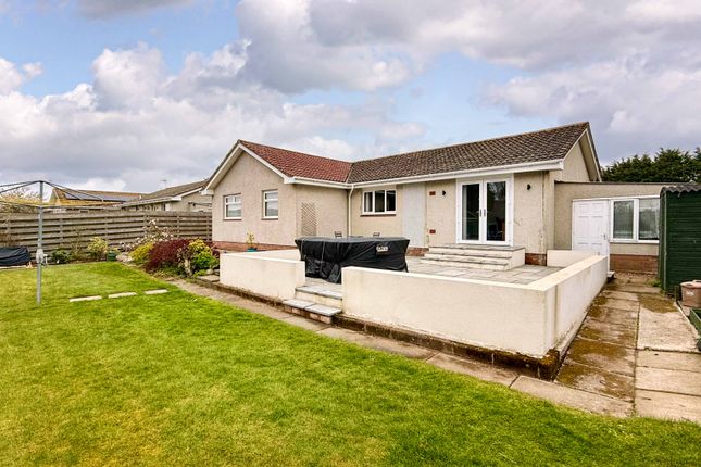 3, Morven Avenue, Montrose photo 5