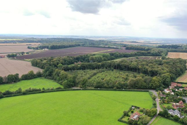 Land for sale in Nettlebed, Henley-On-Thames