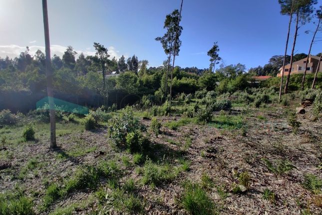 Land for sale in Centro (Sermonde), Grijó E Sermonde, Vila Nova De Gaia