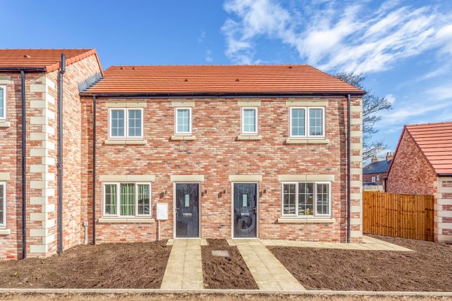 Thumbnail Semi-detached house for sale in Plot 3, The Lily, Rockinghorse Avenue