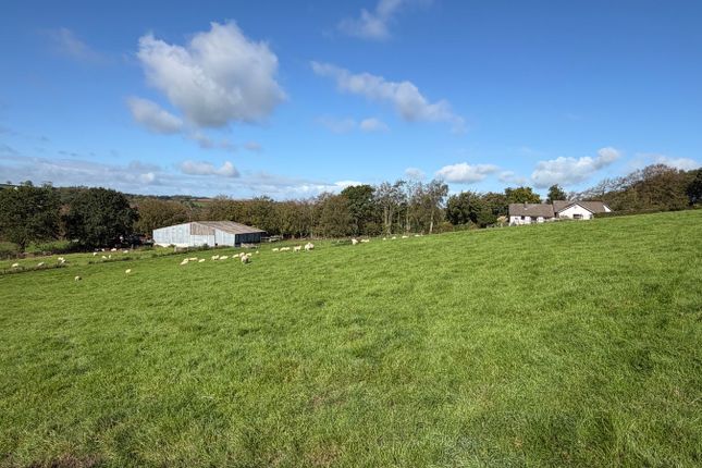 Llwyn Ffawydden, Bettws Bledrws, Lampeter photo 2