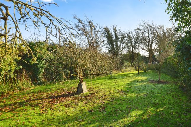 Detached house for sale in Ivychurch, Romney Marsh