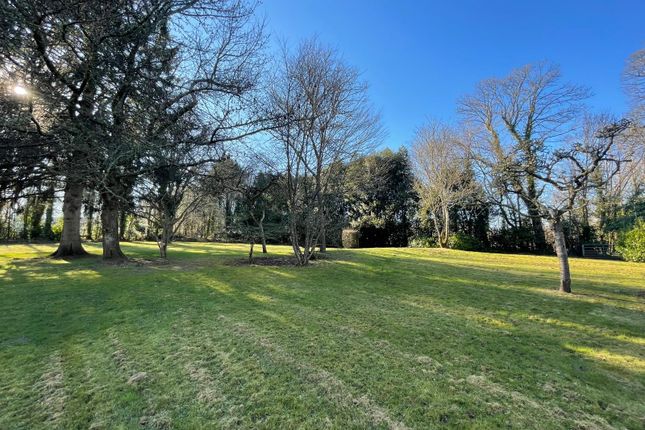 Lagg Cottage, Culmer Lane, Wormley photo 3