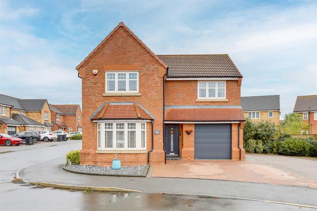 Img_5650-Img_5654 Copy.Jpg