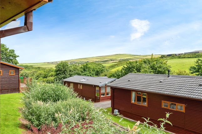 Lodge 23,, Bossiney Bay Holiday Resort, Cornwall photo 3