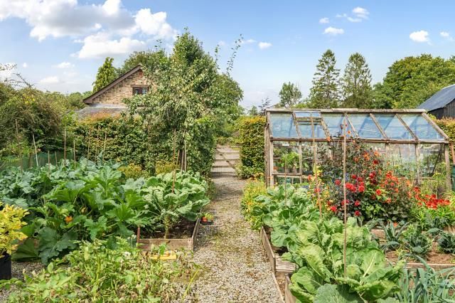 Vegetable Garden