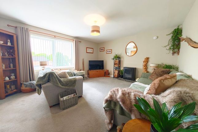 32, Showfield, Brampton photo 3