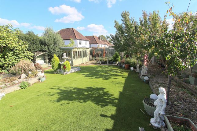 Garden C.Jpg