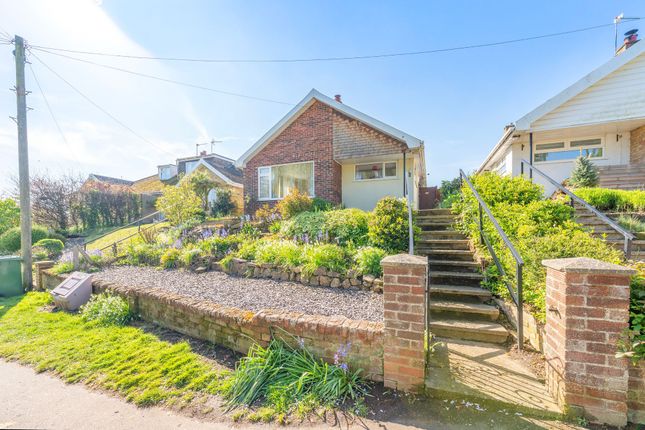 Thumbnail Detached bungalow for sale in Mill Lane, Acle, Norwich