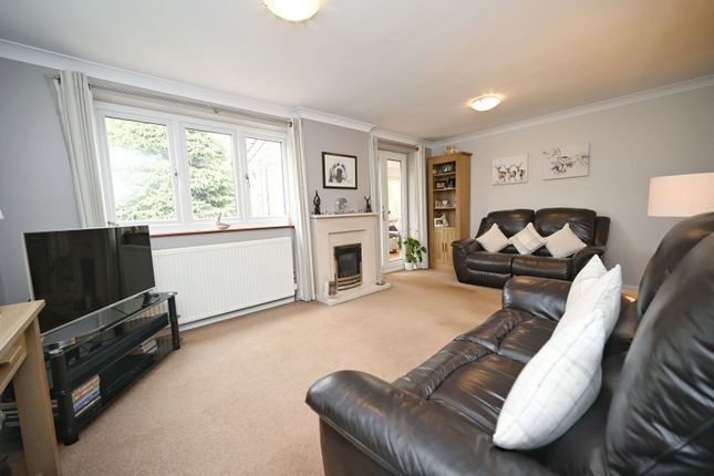 Applehaigh View, Barnsley photo 4