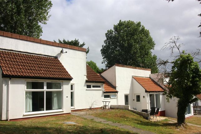 14 Manorcombe Bungalows, Honicombe Manor, St Anns Chapel photo 3