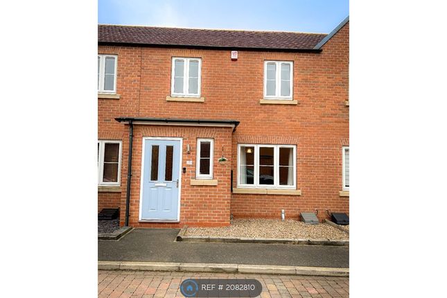 Thumbnail Terraced house to rent in Peterson Drive, Grimsby