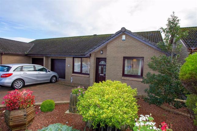 Thumbnail Semi-detached bungalow for sale in Callers Court, Tweedmouth, Berwick-Upon-Tweed
