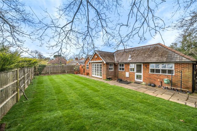 Bungalow for sale in School Lane, Lower Bourne, Farnham