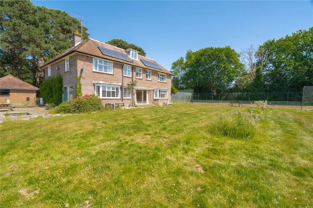 Westfield,, Highwoods Avenue, Bexhill-On-Sea photo 3
