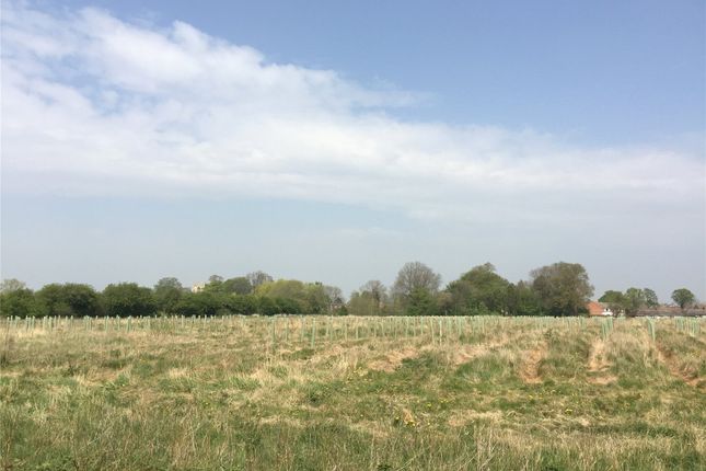 Thumbnail Land for sale in Lot 1: Land At Bubwith, Bubwith, Selby, North Yorkshire