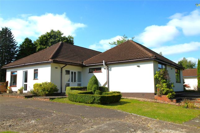 Thumbnail Bungalow for sale in Longdale Lane, Ravenshead, Nottingham