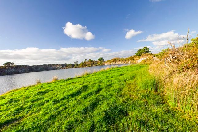 Land for sale in Countybridge Fishery, Goonhilly Downs, Helston, One-Of-A-Kind Oasis